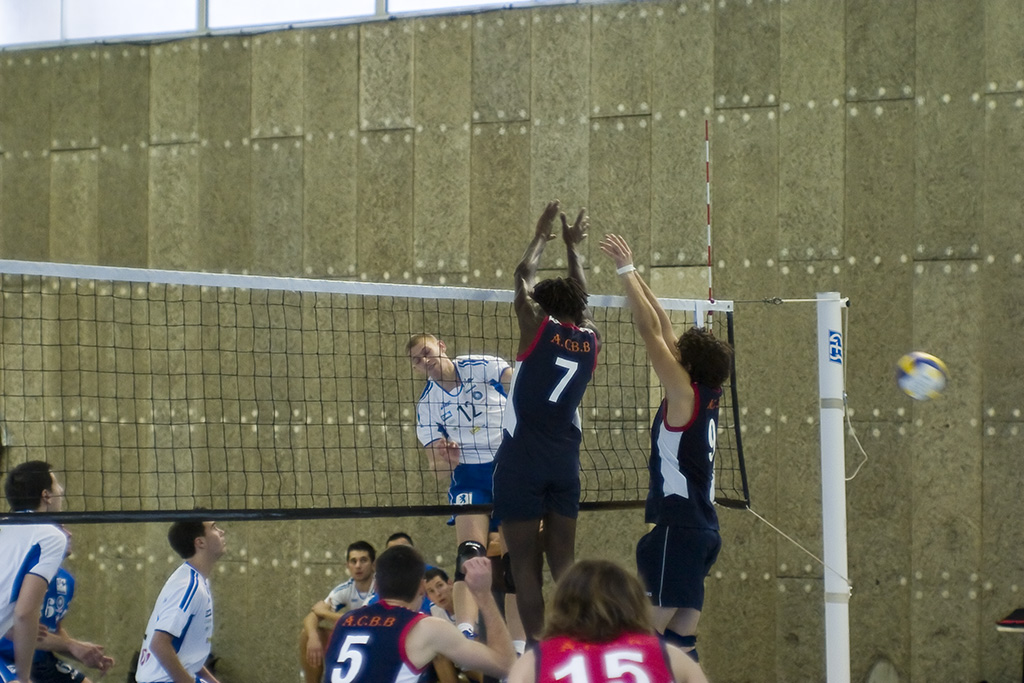 CRW_7079.jpg