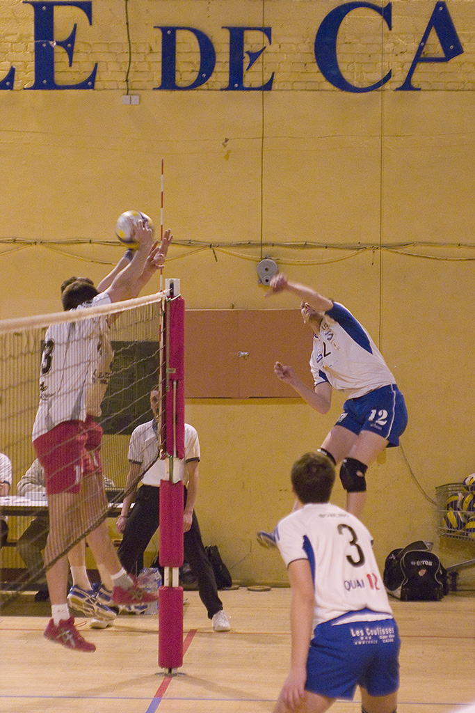 CRW_7334.jpg
