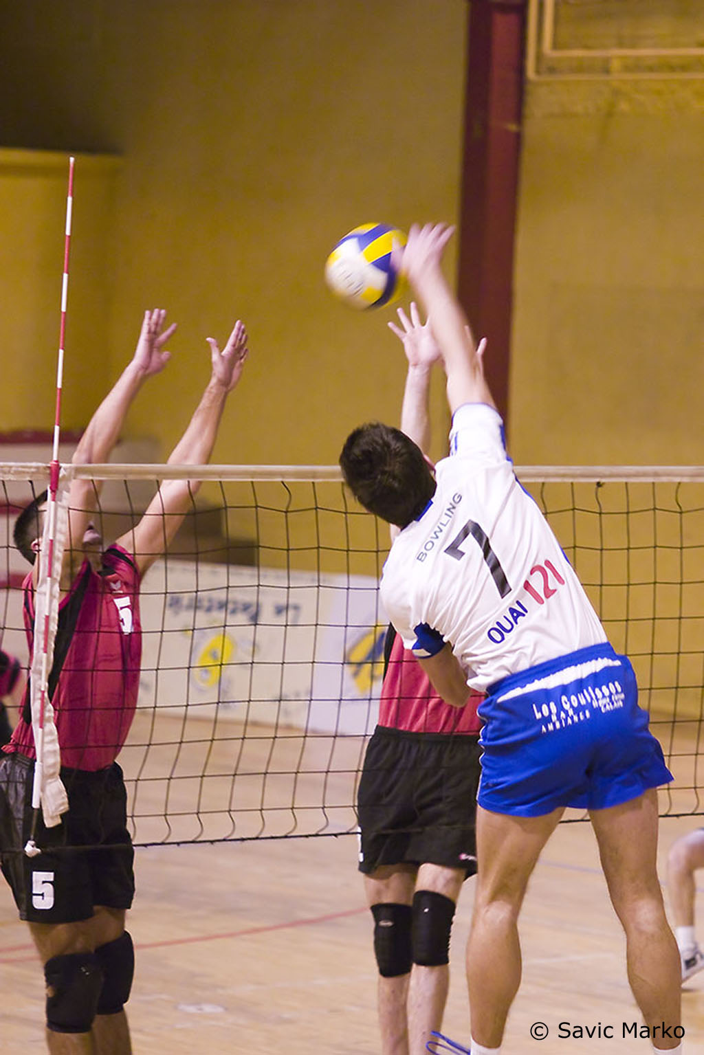 CRW_7232.jpg