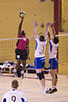 CRW_7238.jpg