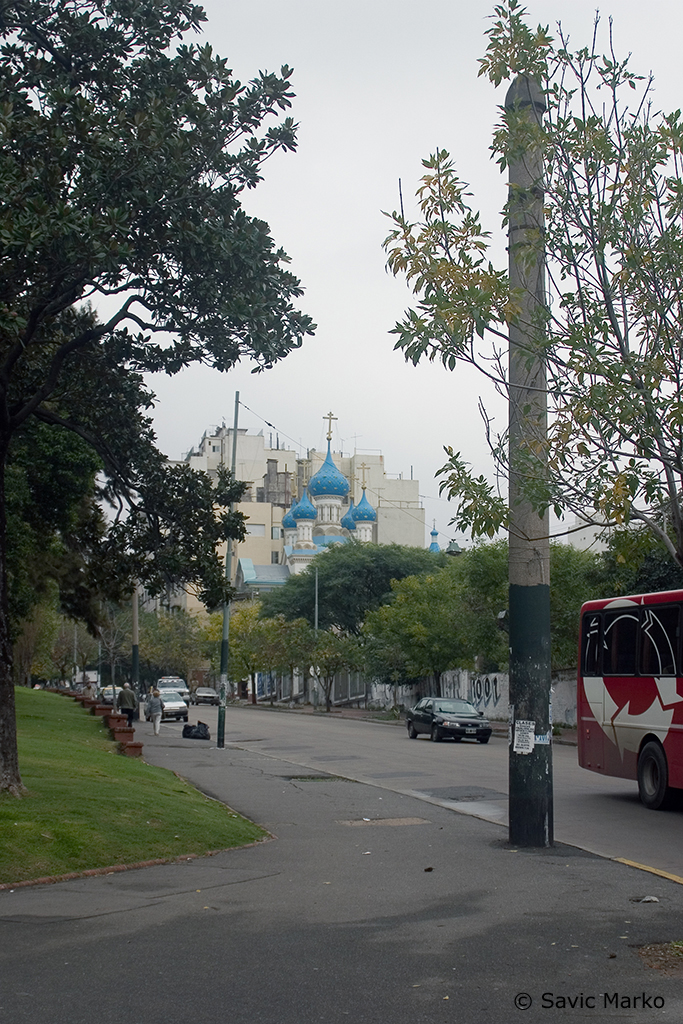 CRW_2160.jpg