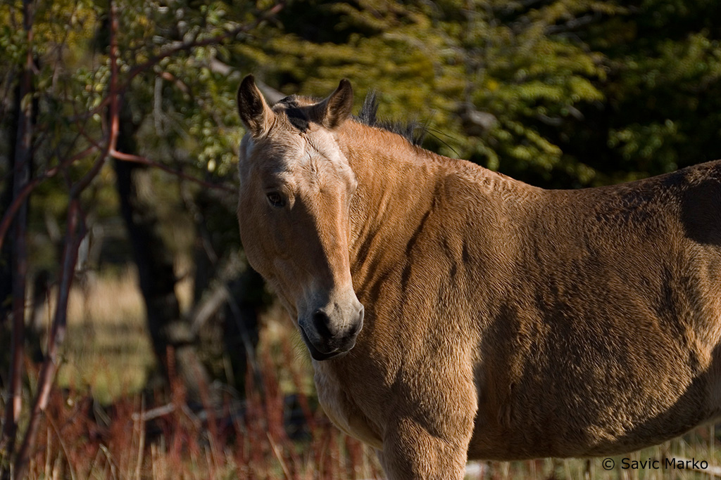 CRW_2635.jpg
