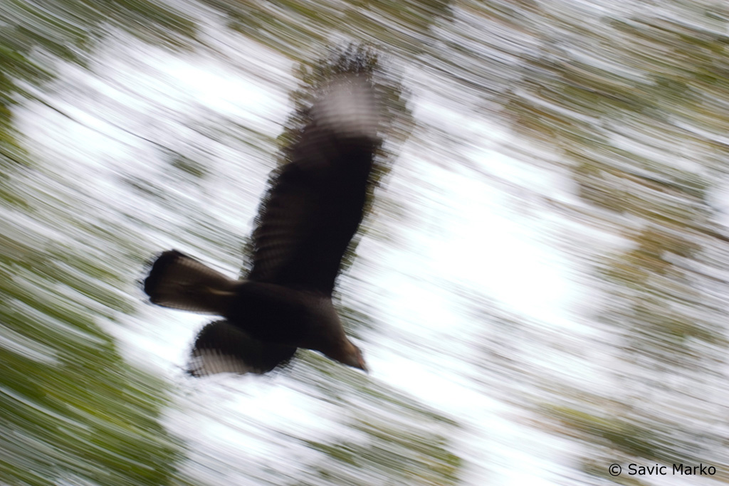 CRW_2885.jpg