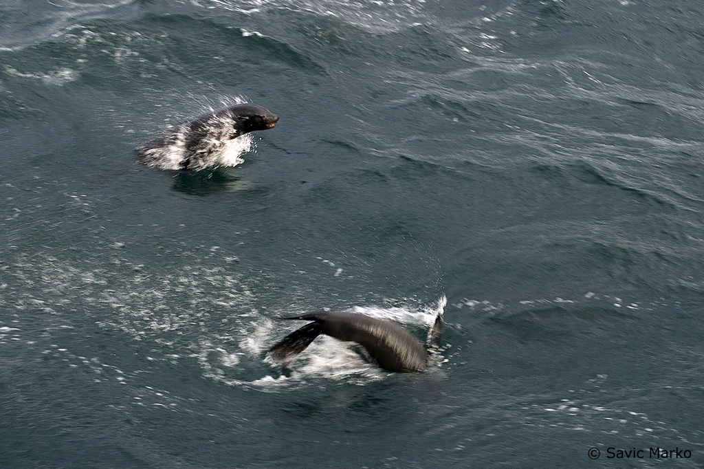 CRW_3142.jpg