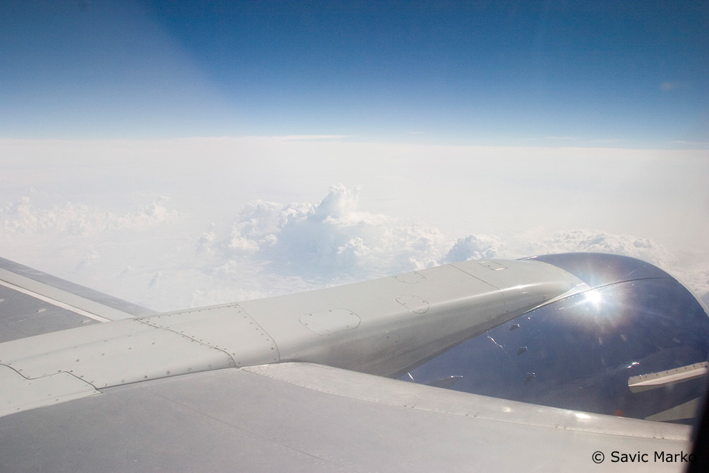 CRW_3336.jpg