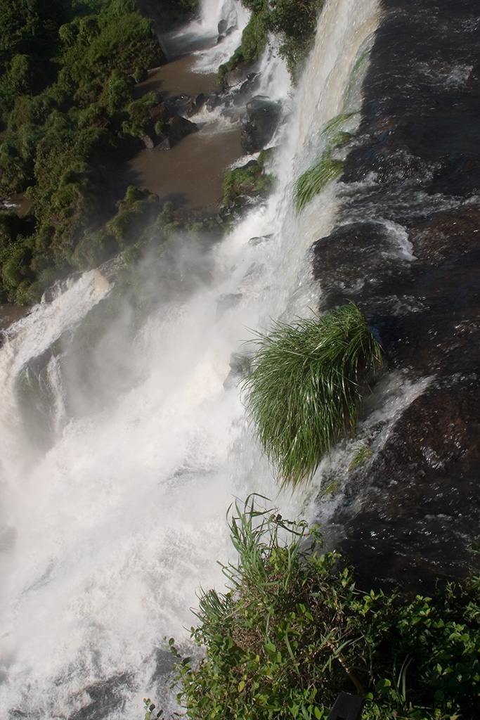 CRW_3557.jpg