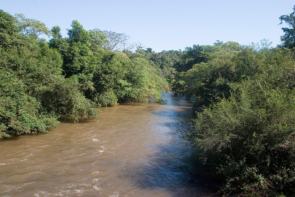 CRW_3581.jpg