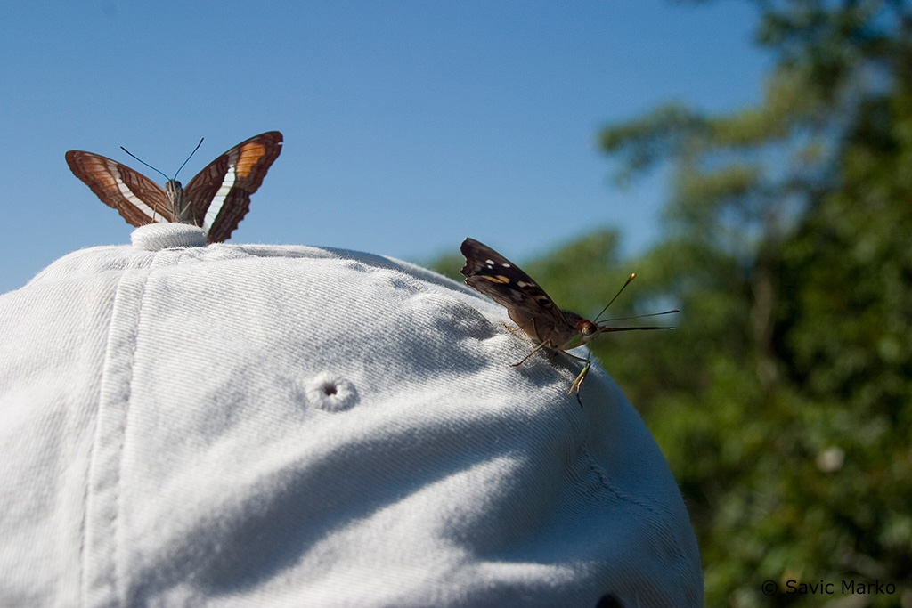 CRW_3584.jpg