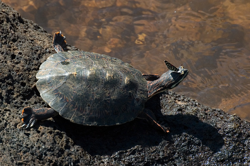 CRW_3587.jpg