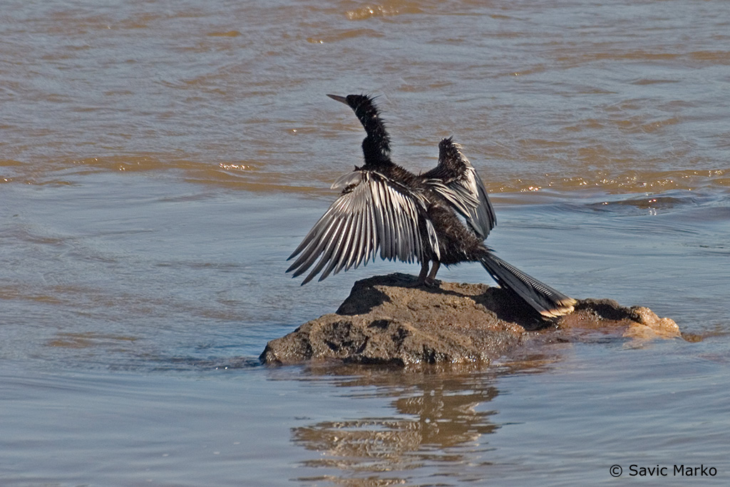 CRW_3616.jpg