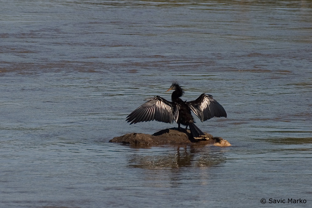 CRW_3623.jpg