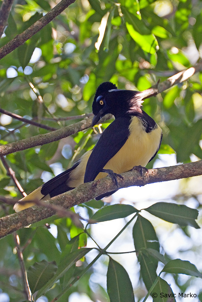 CRW_3660.jpg