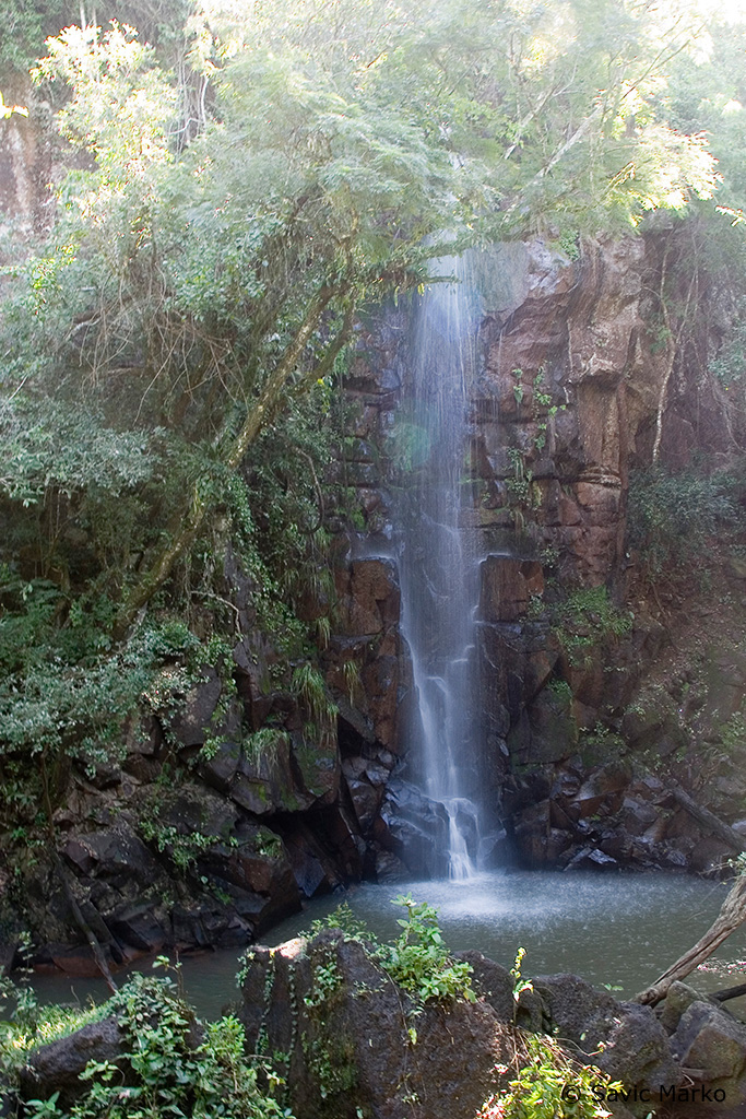 CRW_3692.jpg