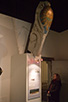 CRW_2804.jpg