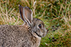CRW_2871.jpg