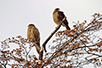 CRW_2880.jpg