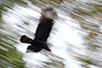 CRW_2885.jpg