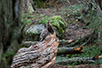 CRW_2899.jpg