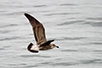 CRW_3022.jpg
