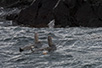 CRW_3088.jpg