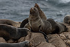 CRW_3097.jpg