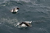 CRW_3142.jpg