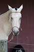 CRW_3197.jpg