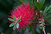 CRW_3199.jpg
