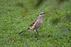 CRW_3210.jpg