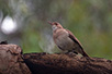 CRW_3223.jpg