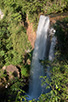 CRW_3550.jpg