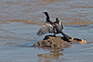 CRW_3616.jpg