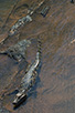CRW_3667.jpg