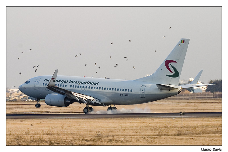 737-06.jpg