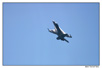 F18-02.jpg