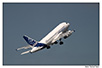 a318-02.jpg