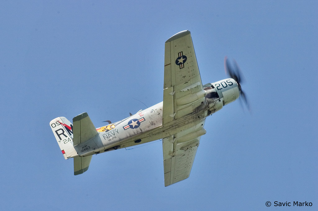 a1-03.jpg