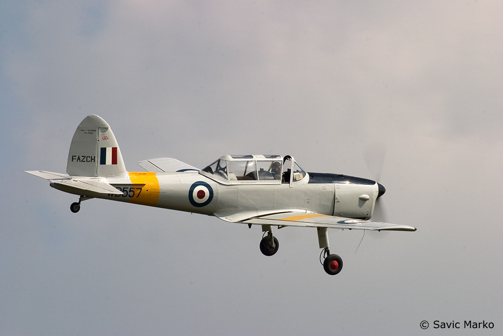 chipmunk-01.jpg