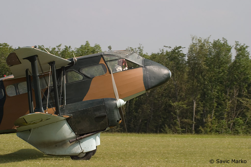dragon-06.jpg
