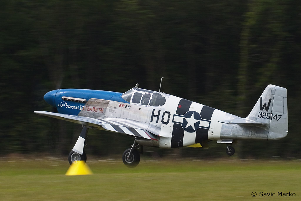 mustang_B-01.jpg