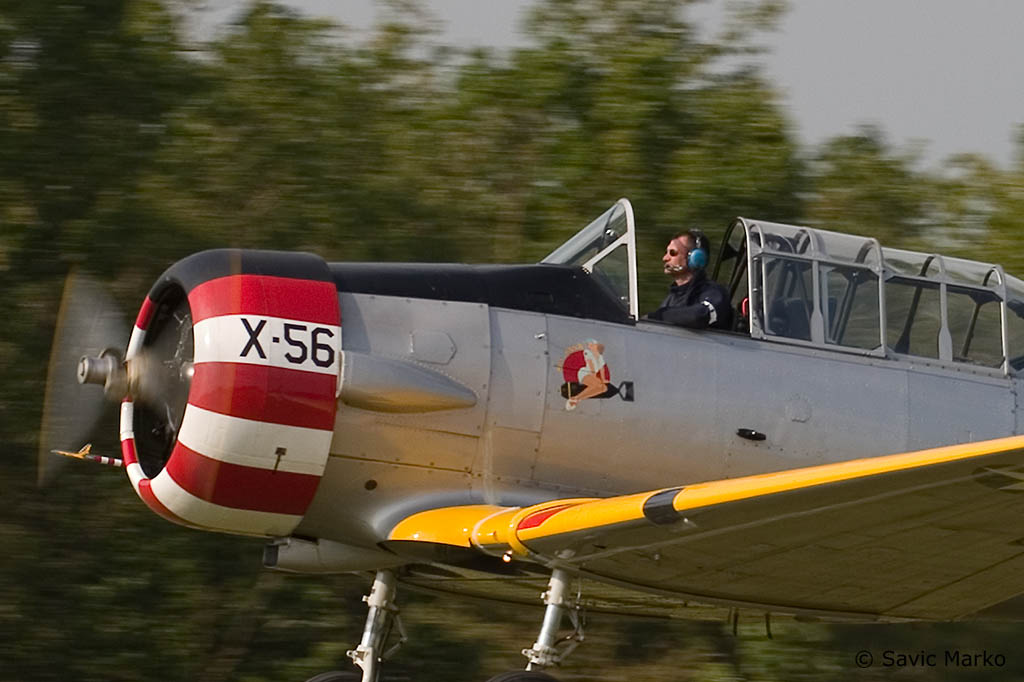 t6-16crop.jpg