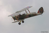 tigermoth-01.jpg