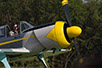 yak52-03.jpg