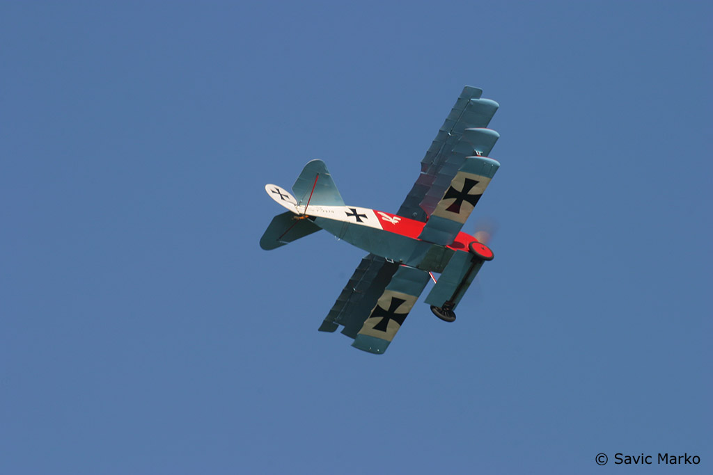 IMG_5299.JPG